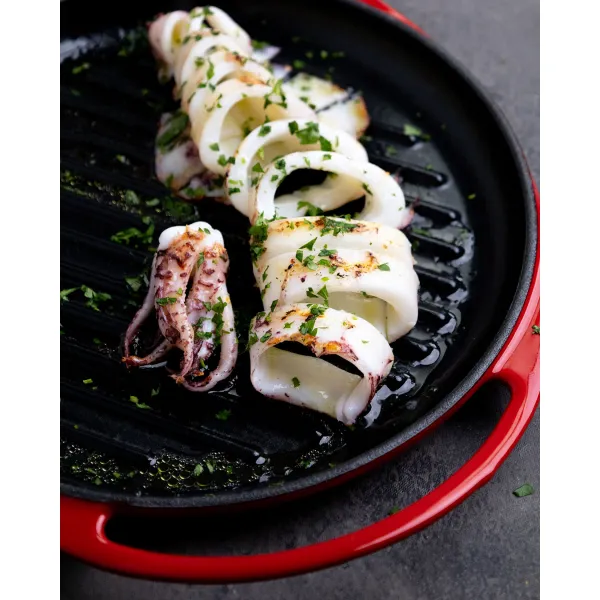 Parrilla grill GR25 Fogo