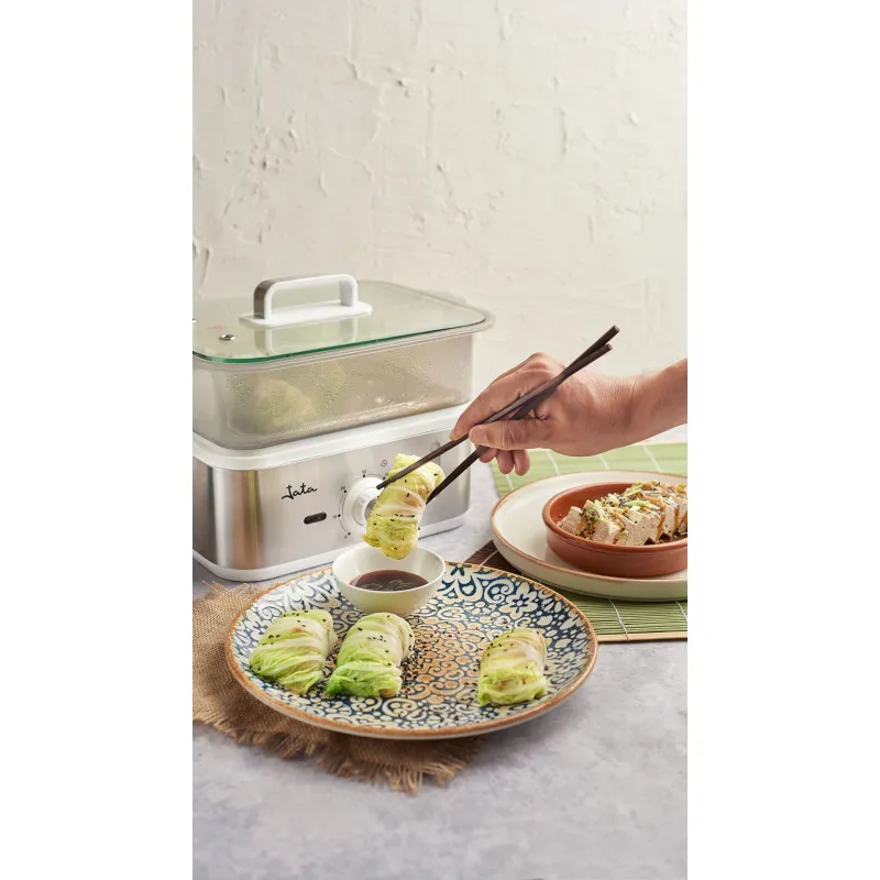 Cocina al vapor CV623