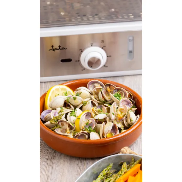 Cocina al vapor CV623