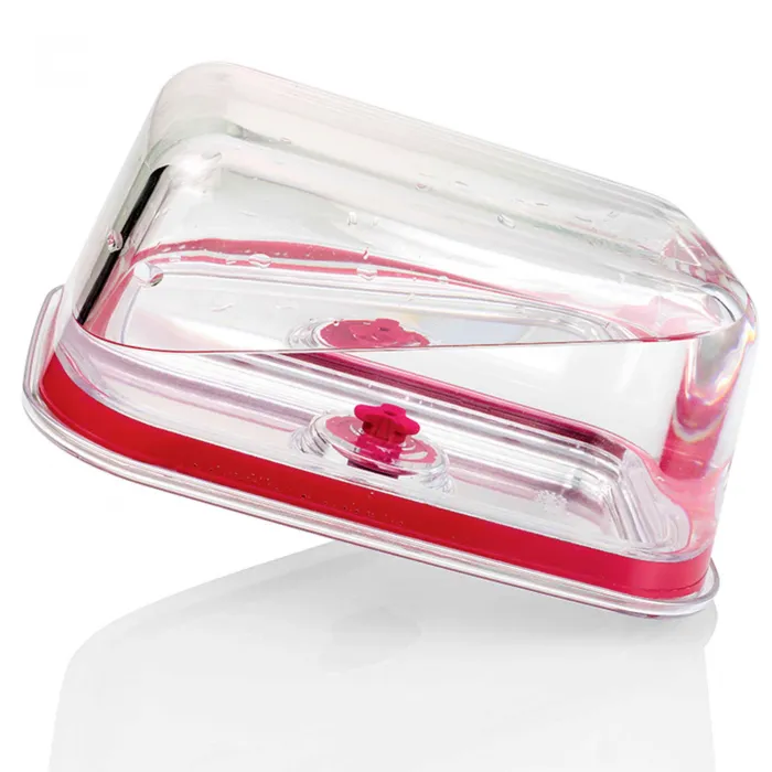 Recipientes de vidrio templado HREC4205 2