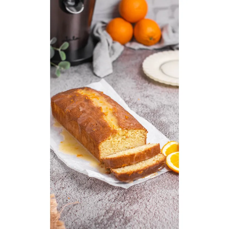 Gama INOX Jata Exprimidor eléctrico con brazo...