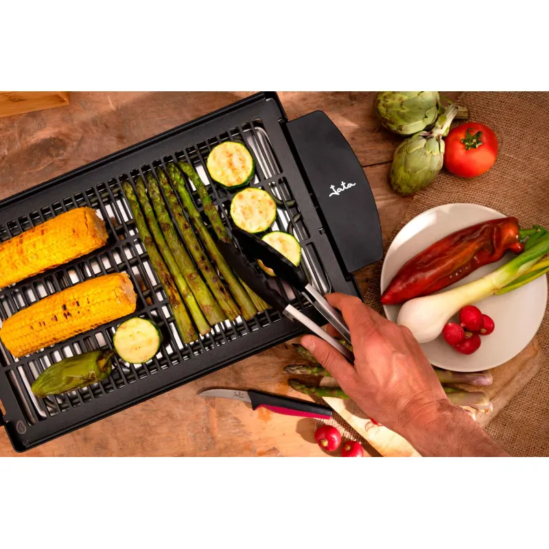 Electro barbacoa EBQ2