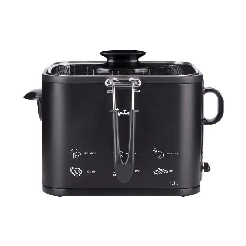 Freidora inox FR5600