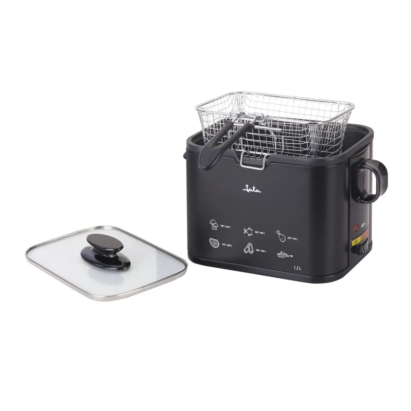 Freidora inox FR5600