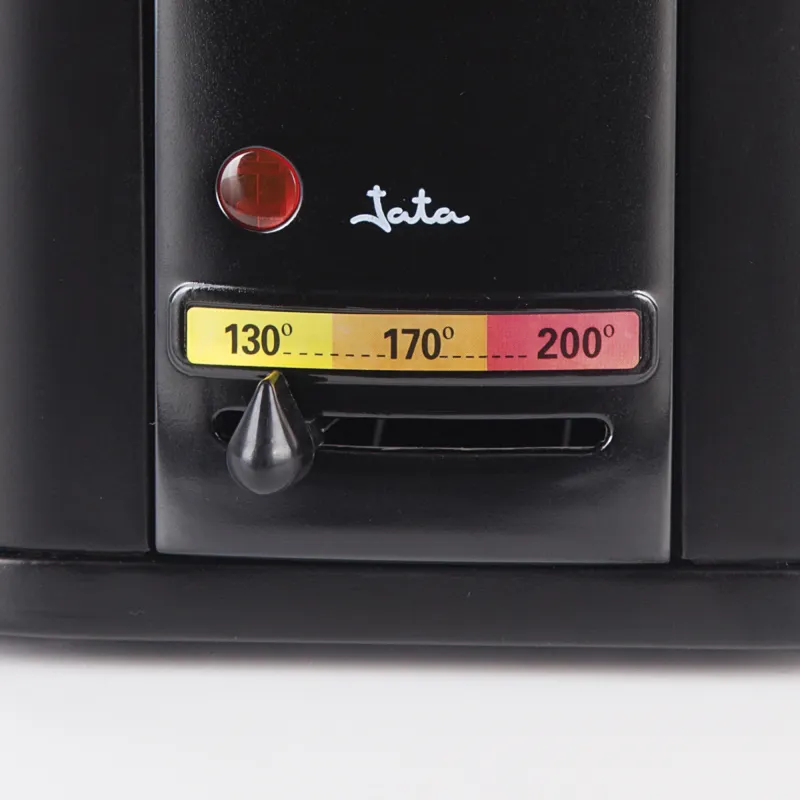 Freidora inox FR5600