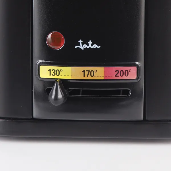 Freidora inox FR5600