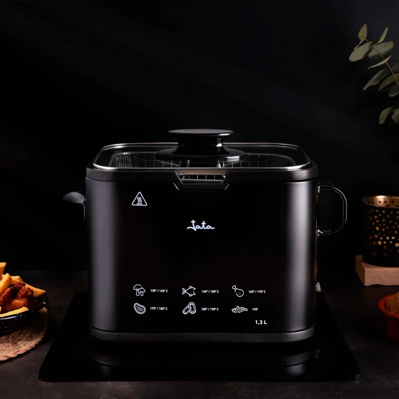 Freidora inox FR5600