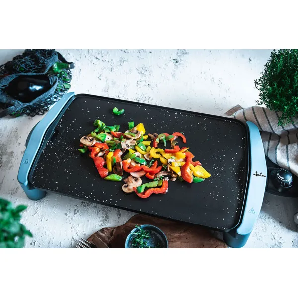 Planchas de asar GR2500AM