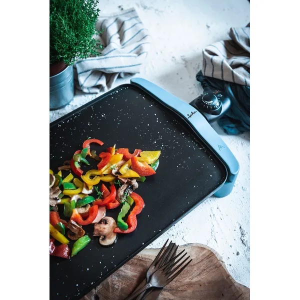 Planchas de asar GR2500AM