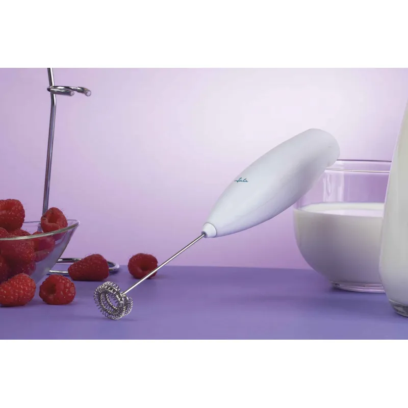 Espumador de leche y minibatidor capuccino...