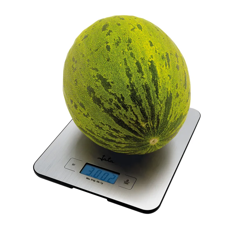 Balanza electrónica Mod. 719