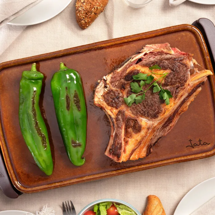 Plancha de asar GR559