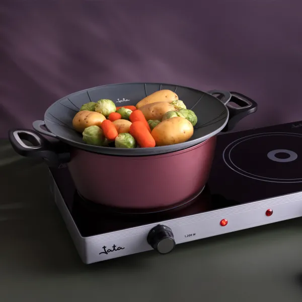 Tapa antidesbordamiento y vaporera HACC4533