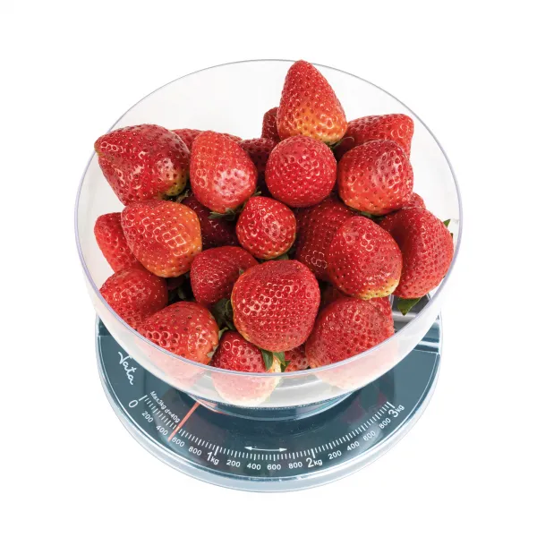 Balanza Mecánica HBAL1610