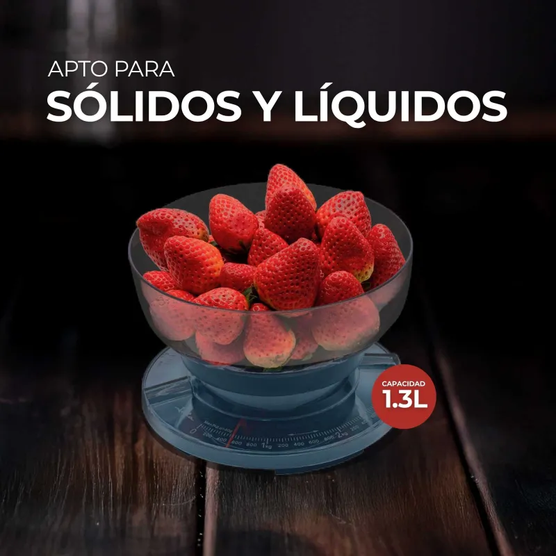 Balanza Mecánica HBAL1610