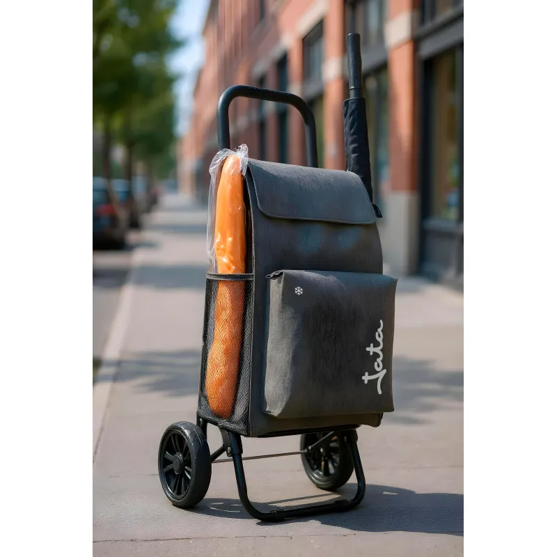 Carro de Compra 2 Ruedas HCAR2564 (6 unidades)