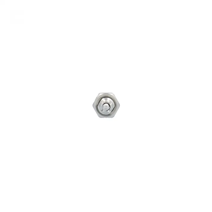 Recambio Válvula de Sobre Presión Olla HOLL2226 -... 2