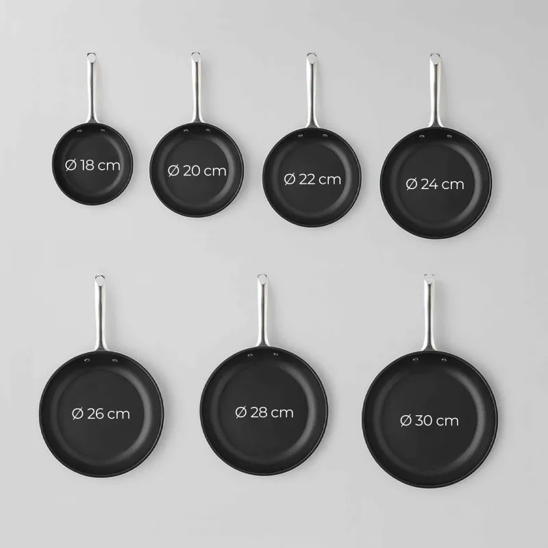 Sartén acero inox La Garrotxa HSAR2118 /...