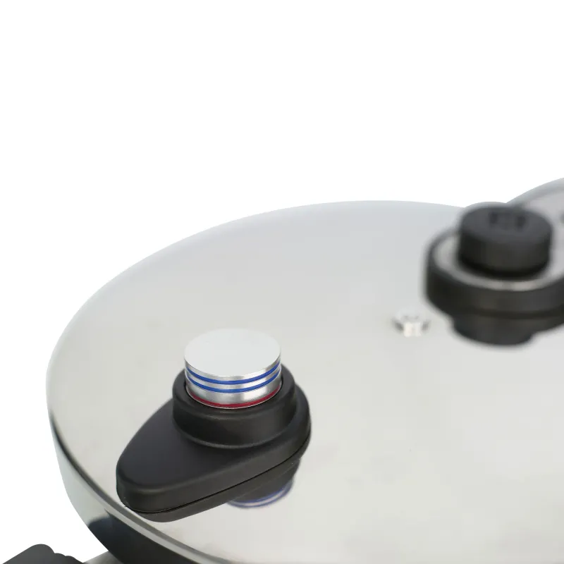 Set Dúo Ollas a Presión Express de 4+7L HOLL2547