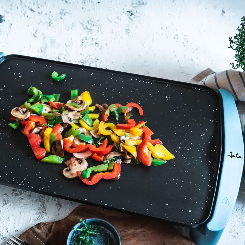 Planchas de asar GR2500AM