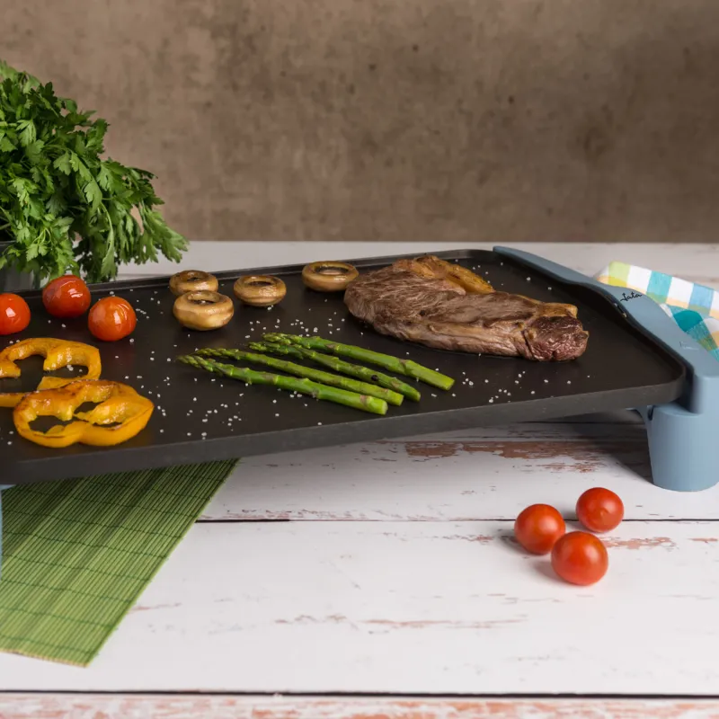 Planchas de asar GR2500AM