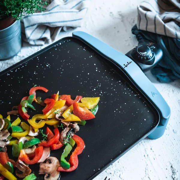 Planchas de asar GR2500AM