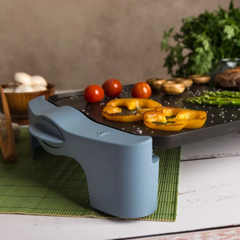 Planchas de asar GR2500AM