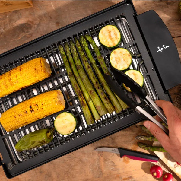 Electro barbacoa EBQ2