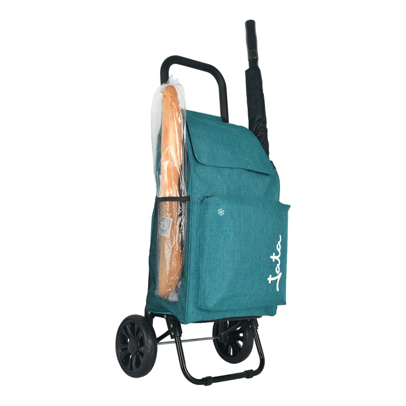 Carro de Compra 2 Ruedas HCAR2523 HCAR2524